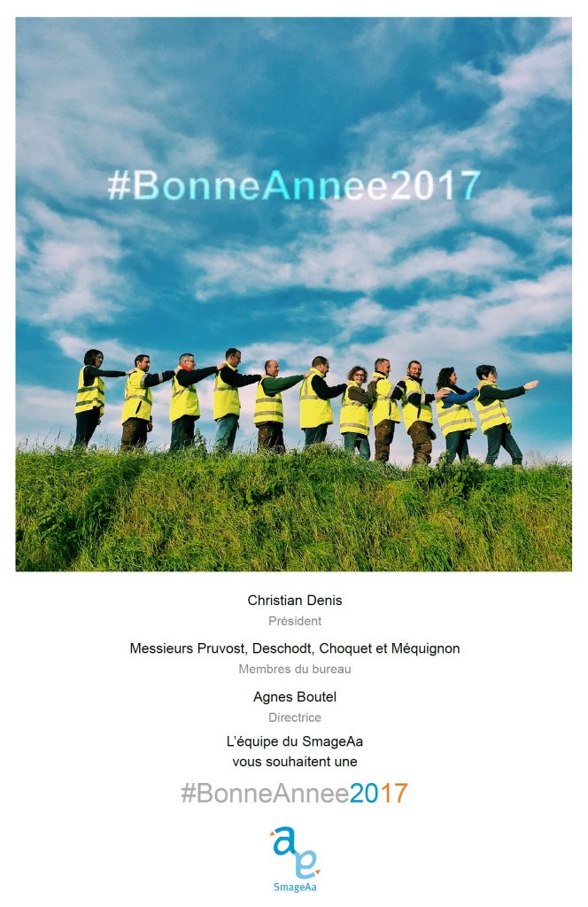 Carte de voeux 2017