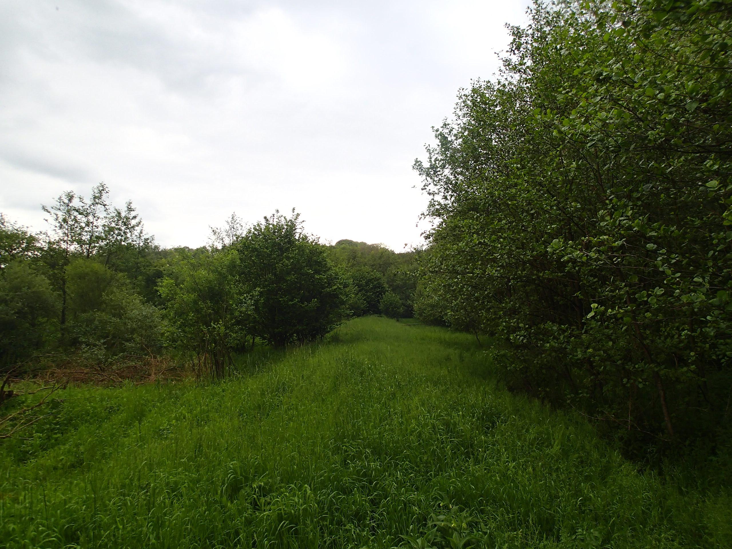 Ancienne pisciculture de Assinghem