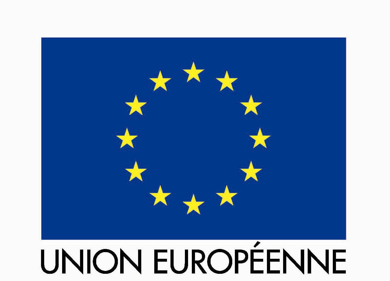 LOGO UE