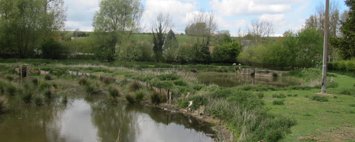 Les anciens enclos de pêche de Ouve-Wirquin en juin 2017