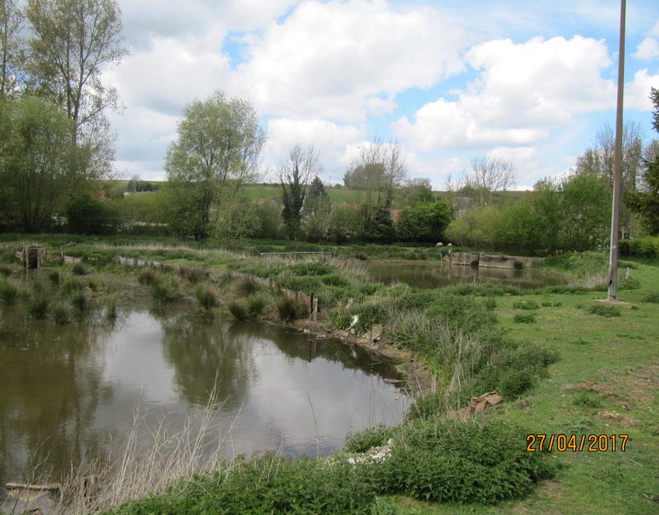 Les anciens enclos de pêche de Ouve-Wirquin en juin 2017