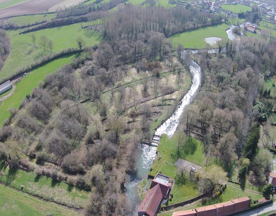 L'ancienne pisciculture d'Assinghem - Avril 2018