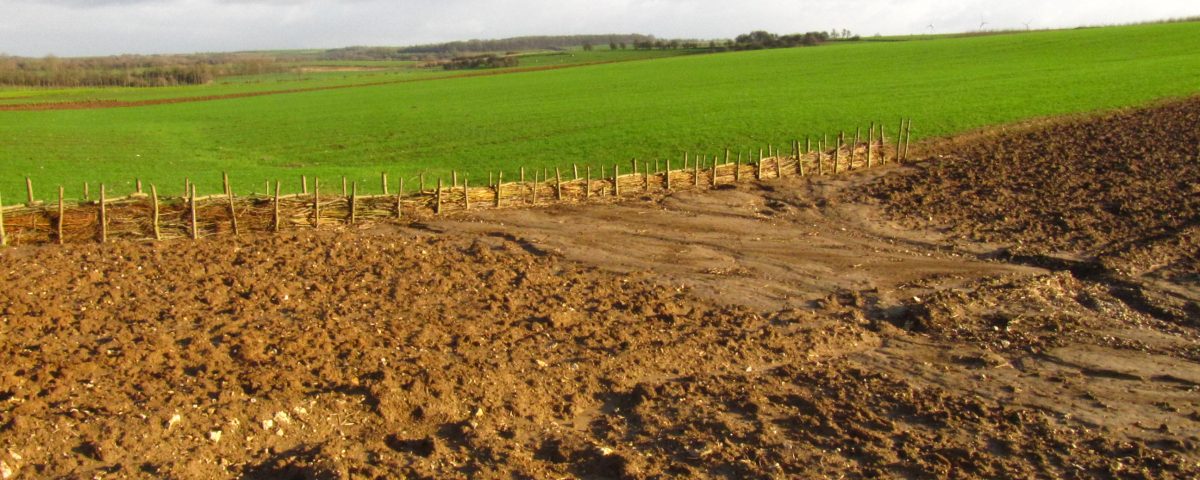 Sédiments pigés en amont d'une fascine