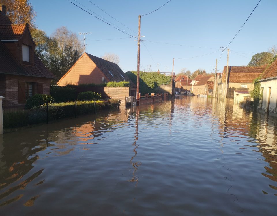 Esquerdes - 11/11/2023